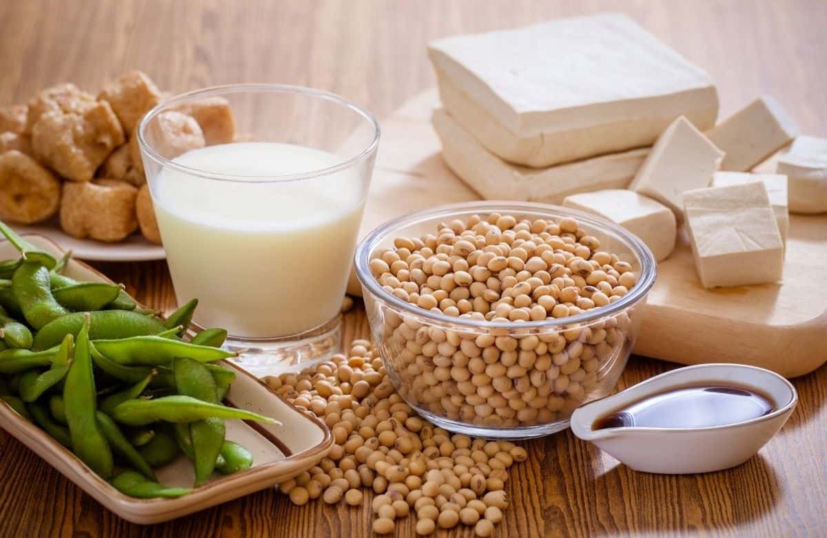 different types of soy products on table