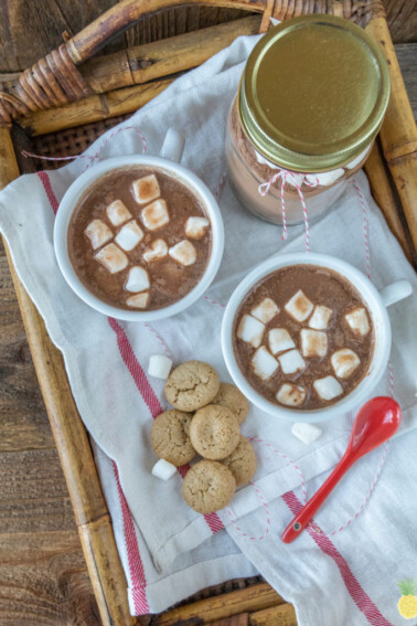 Chai Spiced Hot Cocoa Mix In A Jar - DIY Vegan Holiday Gift sweetsimplevegan.com