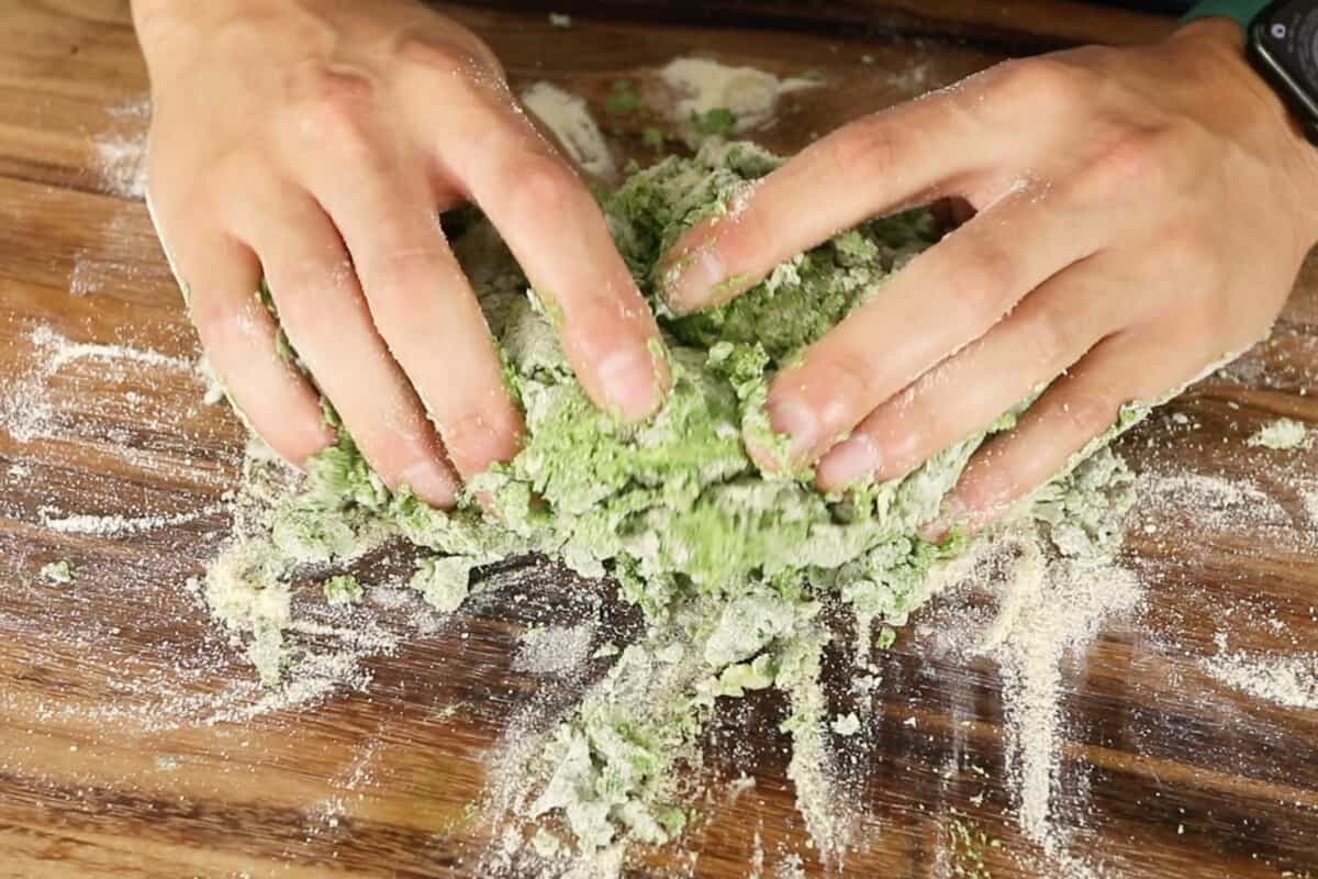making fresh spinach pasta dough