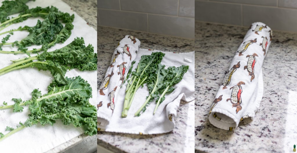 Washed Kale on a towel, wrapped up for the refrigerator. Weiner dog towel. Sweet Simple Vegan