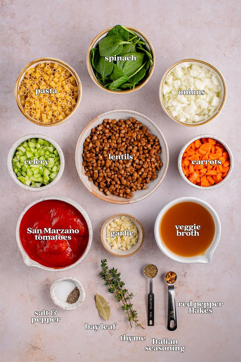 ingredients for instant pot lentil noodle soup