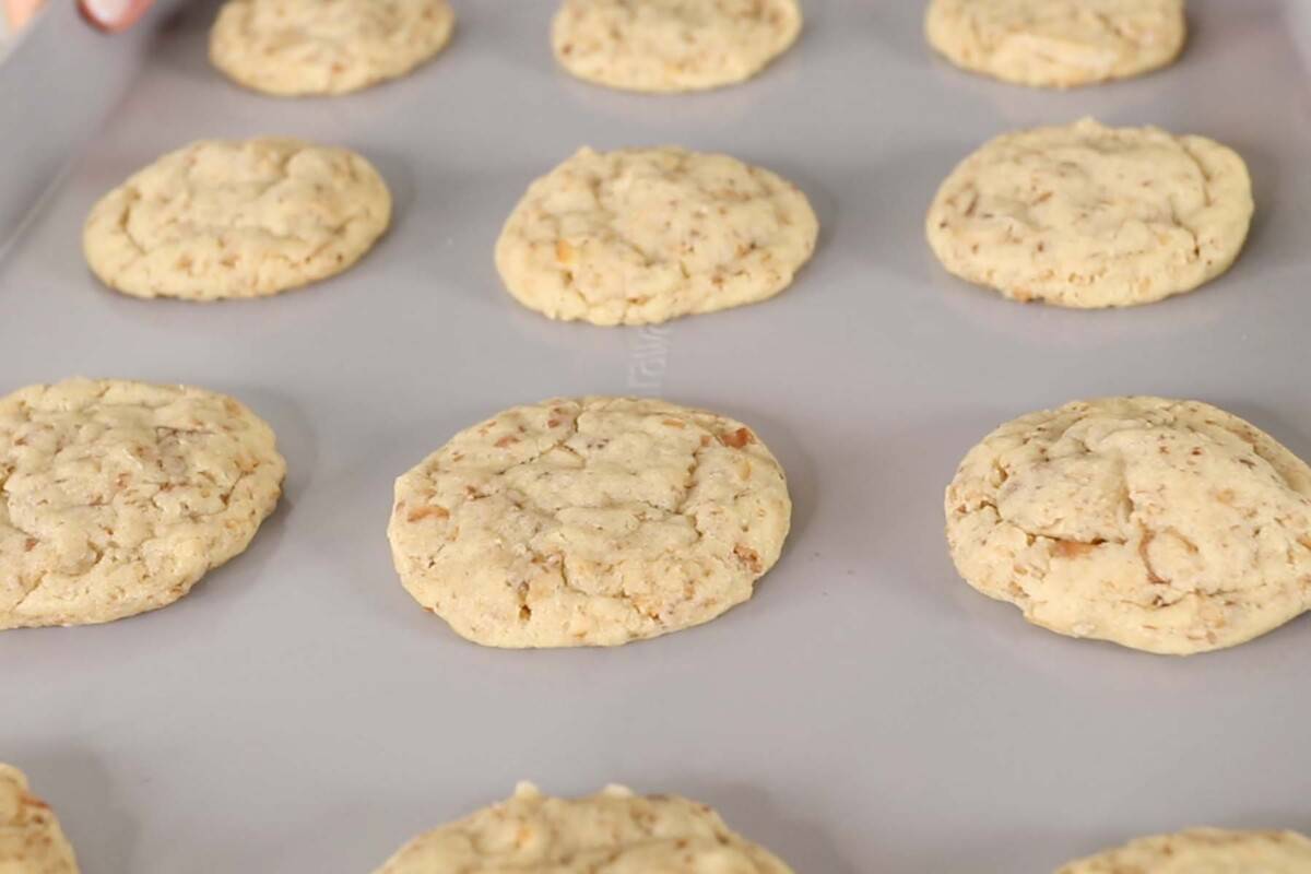 toasted coconut sugar cookies on baking sheet